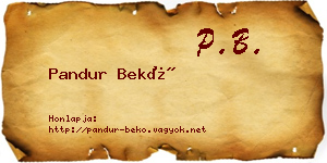 Pandur Bekő névjegykártya